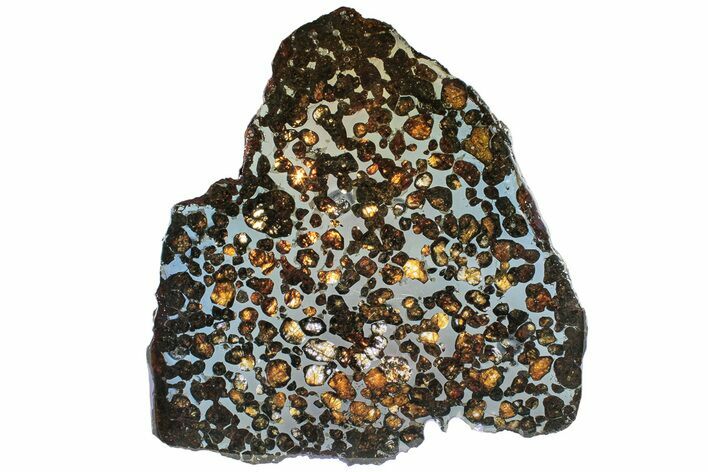 Polished Sericho Pallasite Meteorite ( g) Slice - Kenya #313664